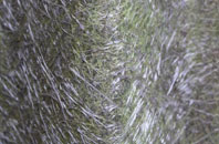 Blain fibreglass roof work